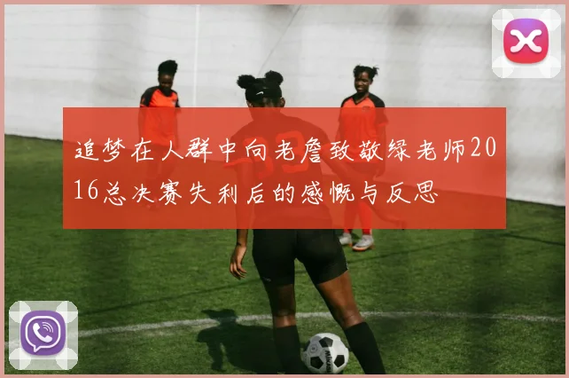 追梦在人群中向老詹致敬绿老师2016总决赛失利后的感慨与反思